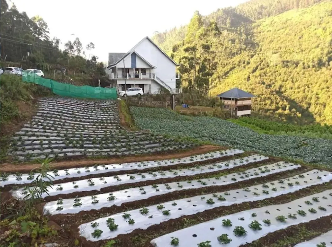 Shola County Bed & Breakfast Vattavada
